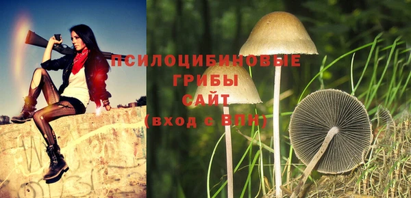 прущая мука Алзамай